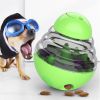 Interactive Puppy Dog Slow Feeder Tumbler Toy