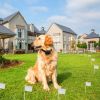 Invisible Electric Dog Fence System For Small Medium Large Dog