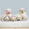 Puppy ID Collars Adjustable Double-Sided Pet ID Bands12 Colors