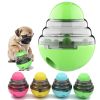 Interactive Puppy Dog Slow Feeder Tumbler Toy